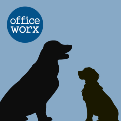 Untitled (600 x 600 px) (2)